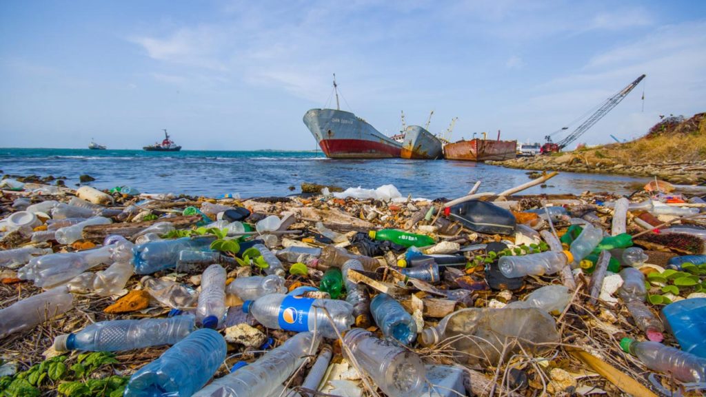 Plastic Pollution: Implications and Way Forward