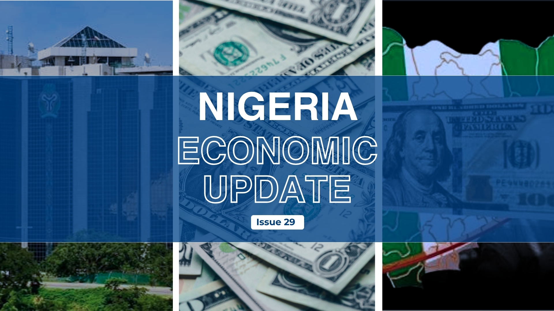 Nigeria Economic Update, Issue 29