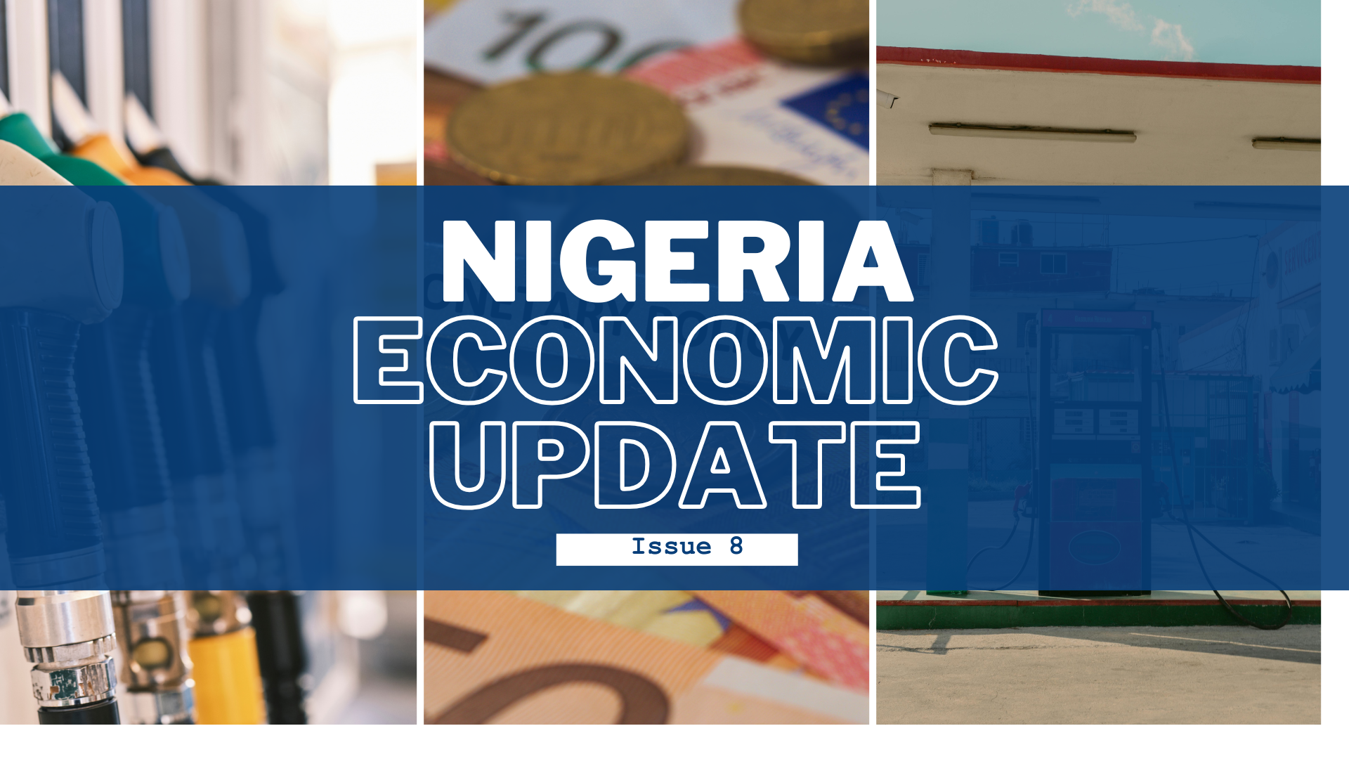Nigeria Economic Update, Issue 8