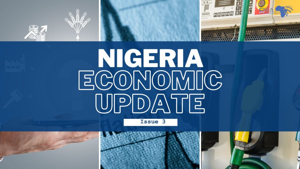 Nigeria Economic Update(Issue 3)