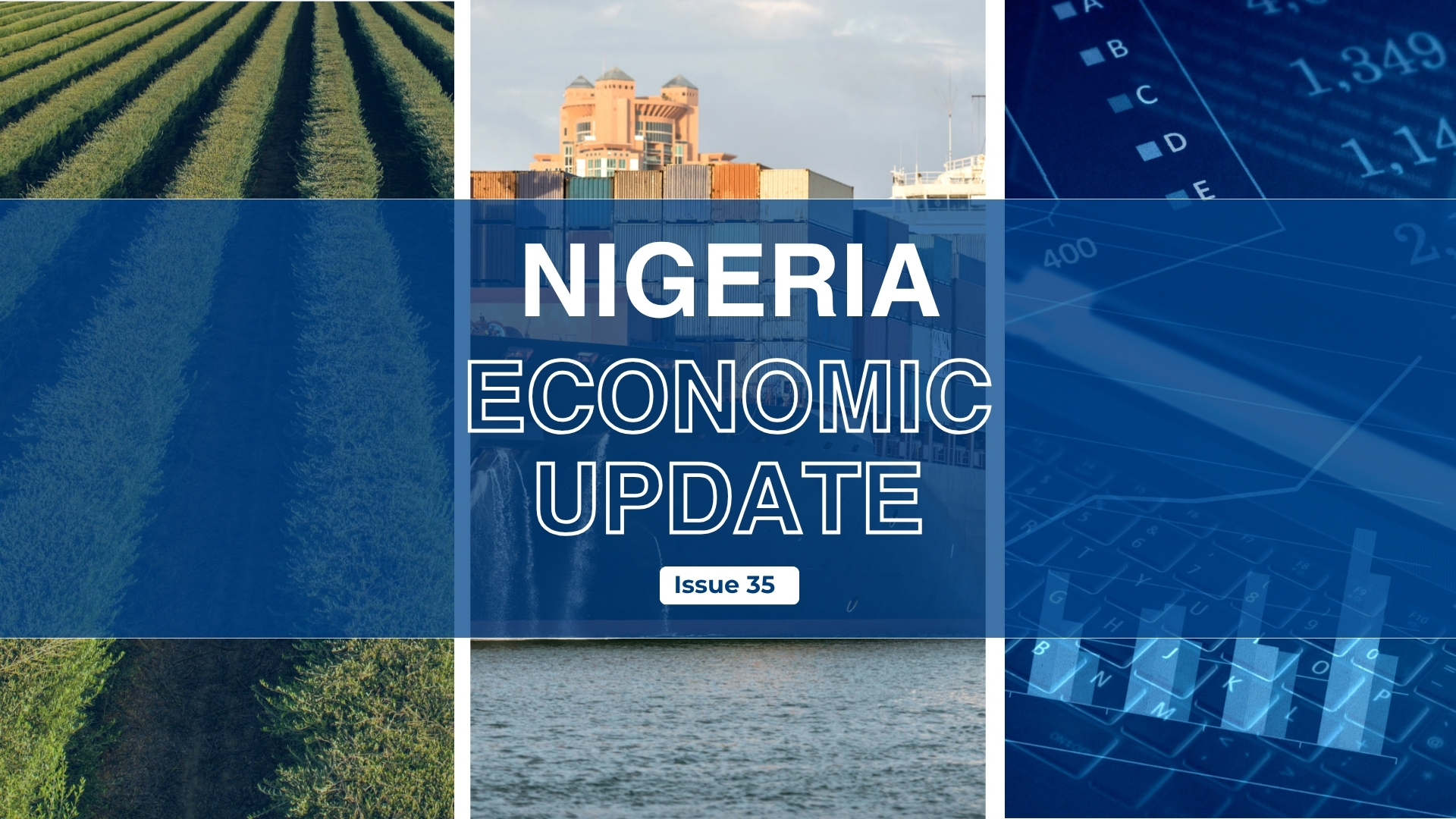 Nigeria Economic Update, Issue 35