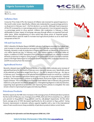 Nigeria Economic Update (Issue 11)