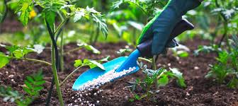 Digital Technology and Fertilizer Reforms in Nigeria