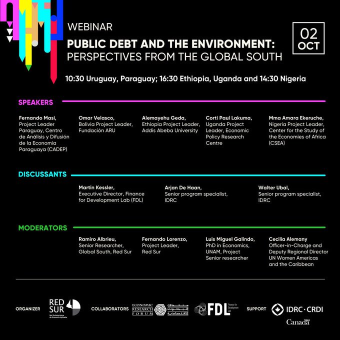Webinar: Public debt and the environment: perspectives from the Global South