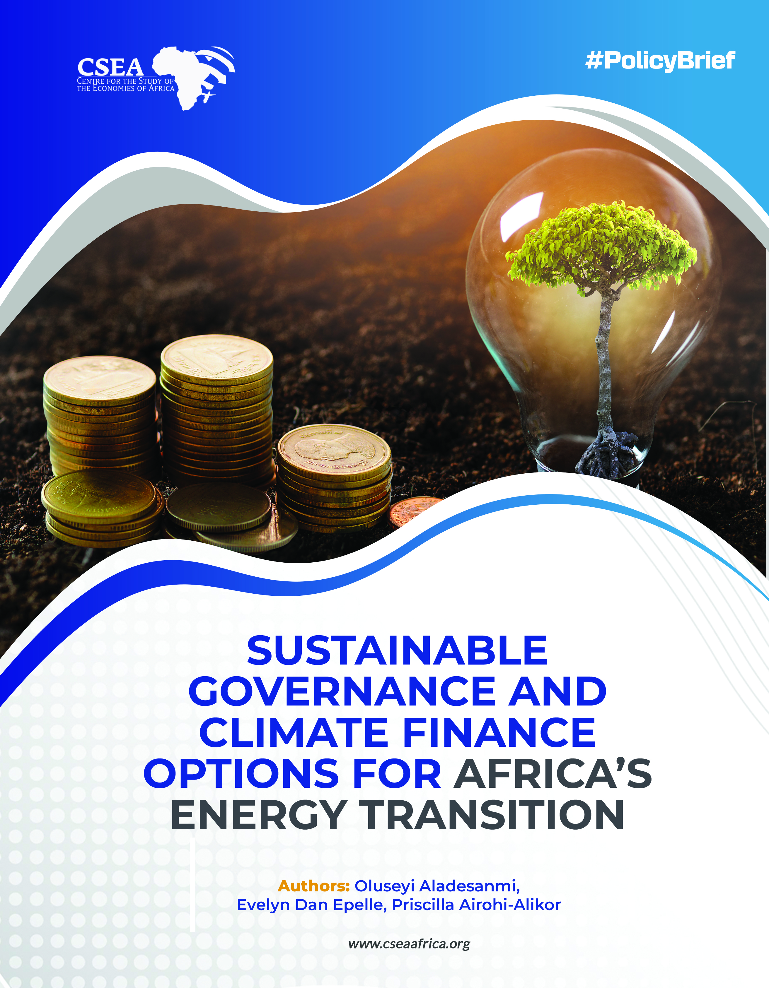 Sustainable Governance and Climate Finance Options for Africa’s Energy  Transition