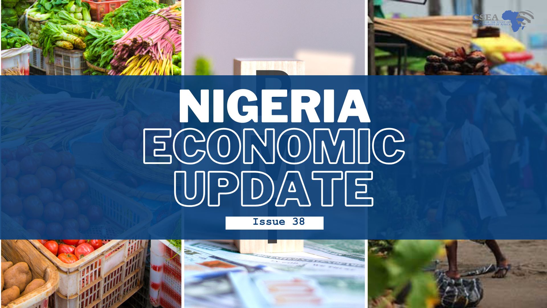 Nigeria Economic Update (Issue 38)