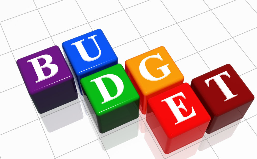 The Economic Effect of Budget Delay in Nigeria