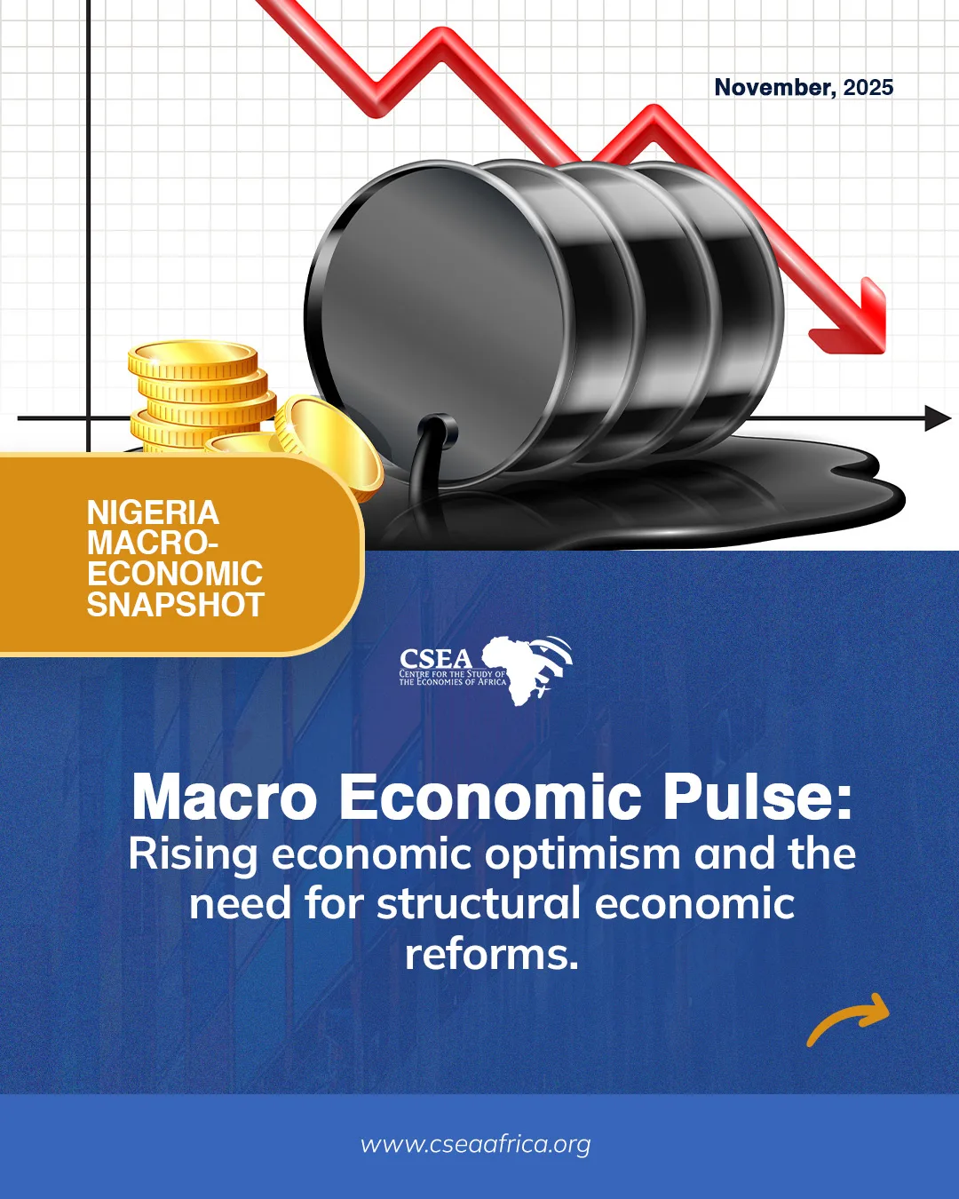 Nigeria Microeconomic Snapshot November 2025