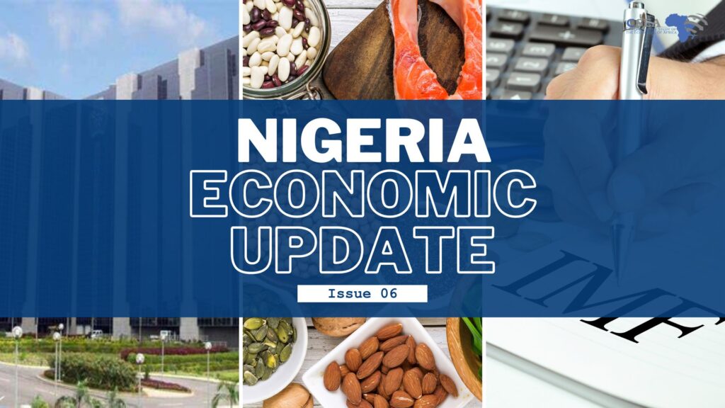 Nigeria Economic Update(Issue 7)