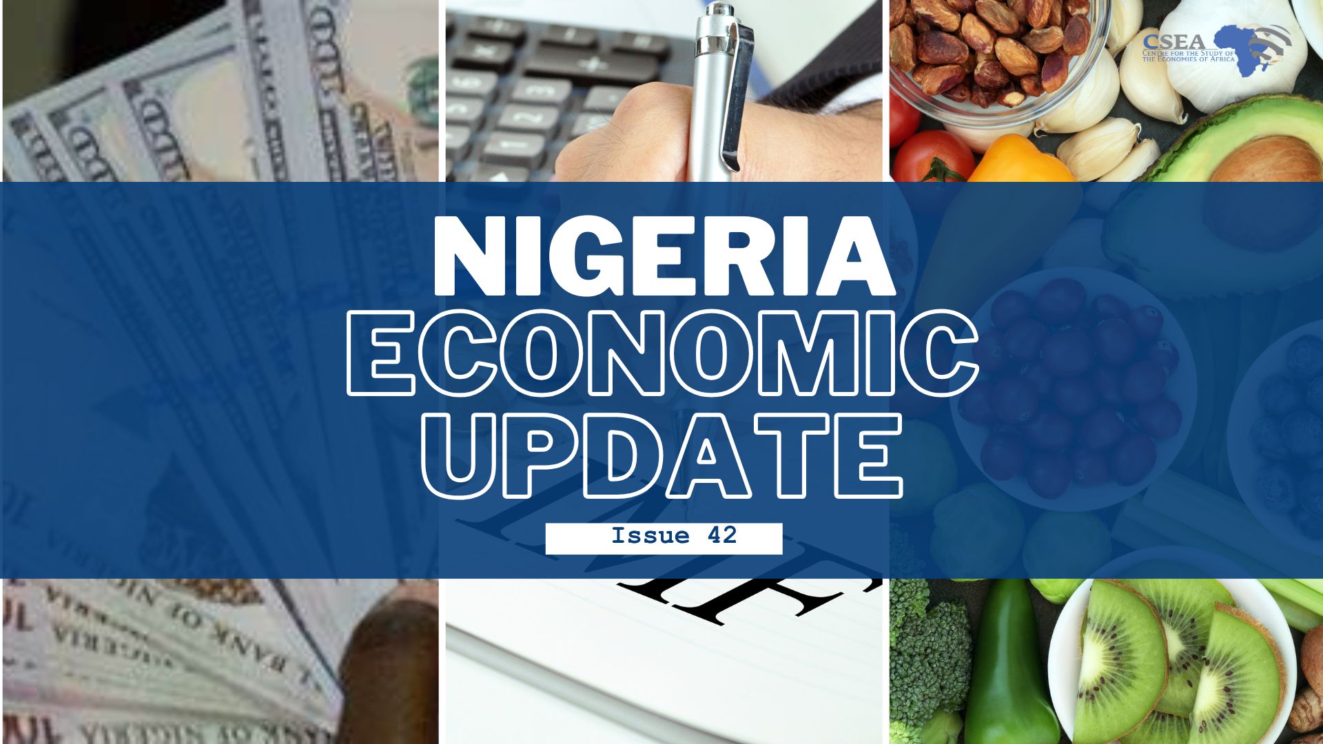 Nigeria Economic Update, Issue 42