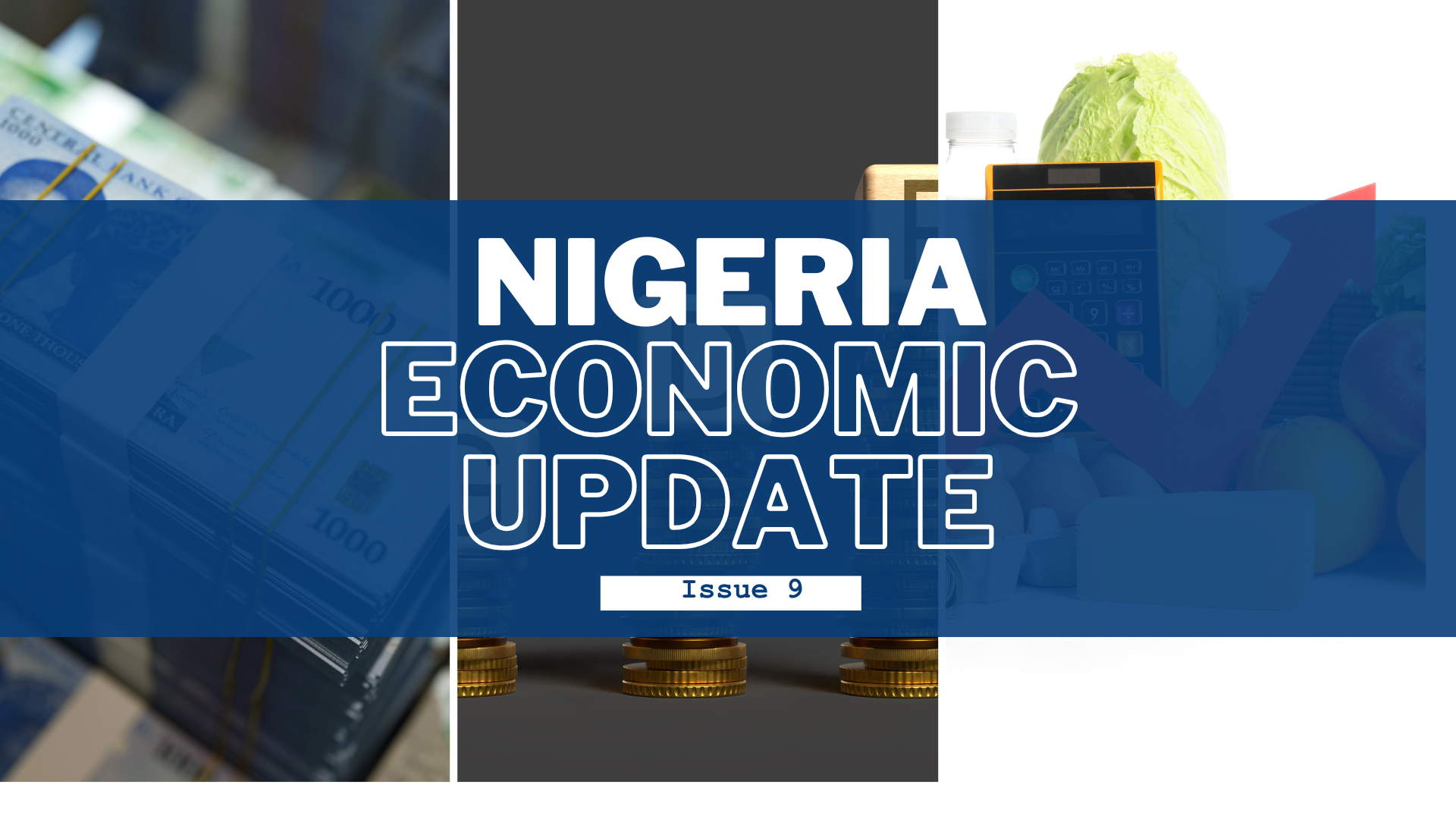 Nigeria Economic Update, Issue 9
