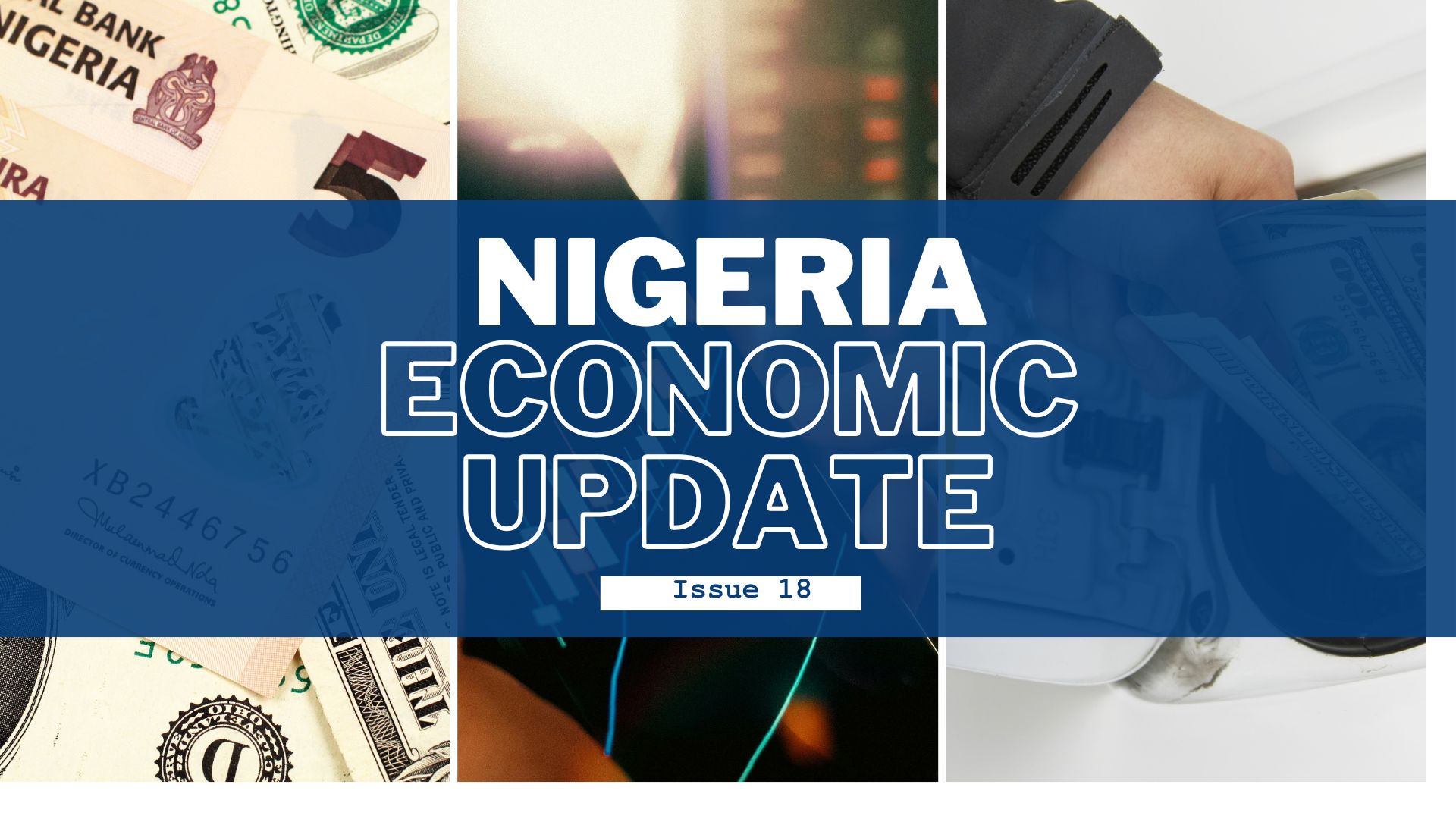 Nigeria Economic Update, Issue 18