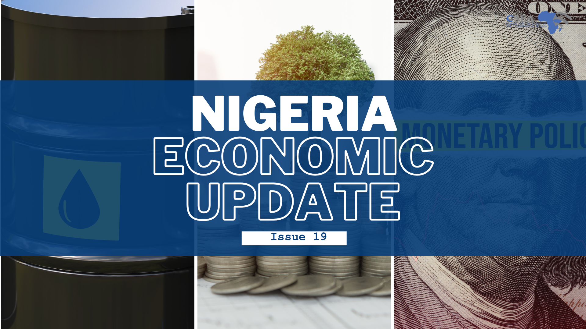 Nigeria Economic Update, Issue 19