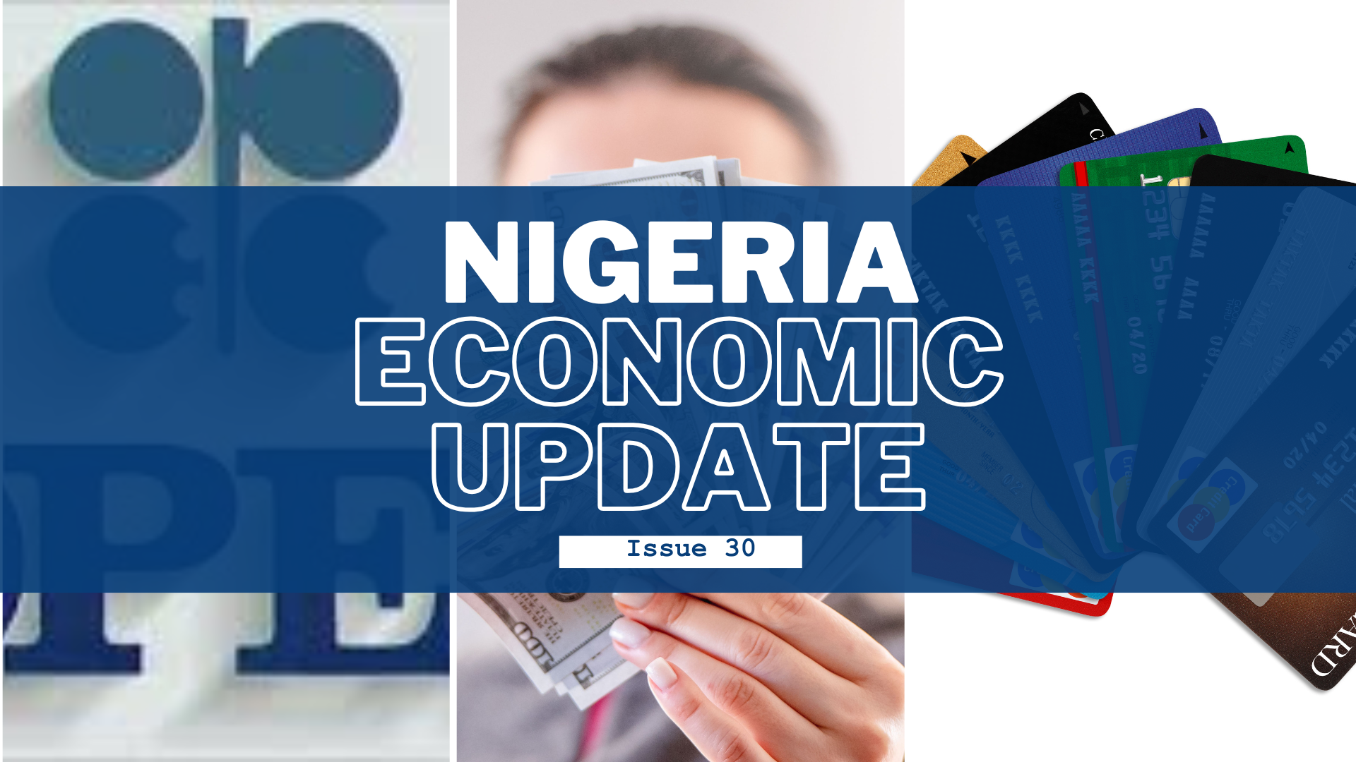 Nigeria Economic Update, Issue 30