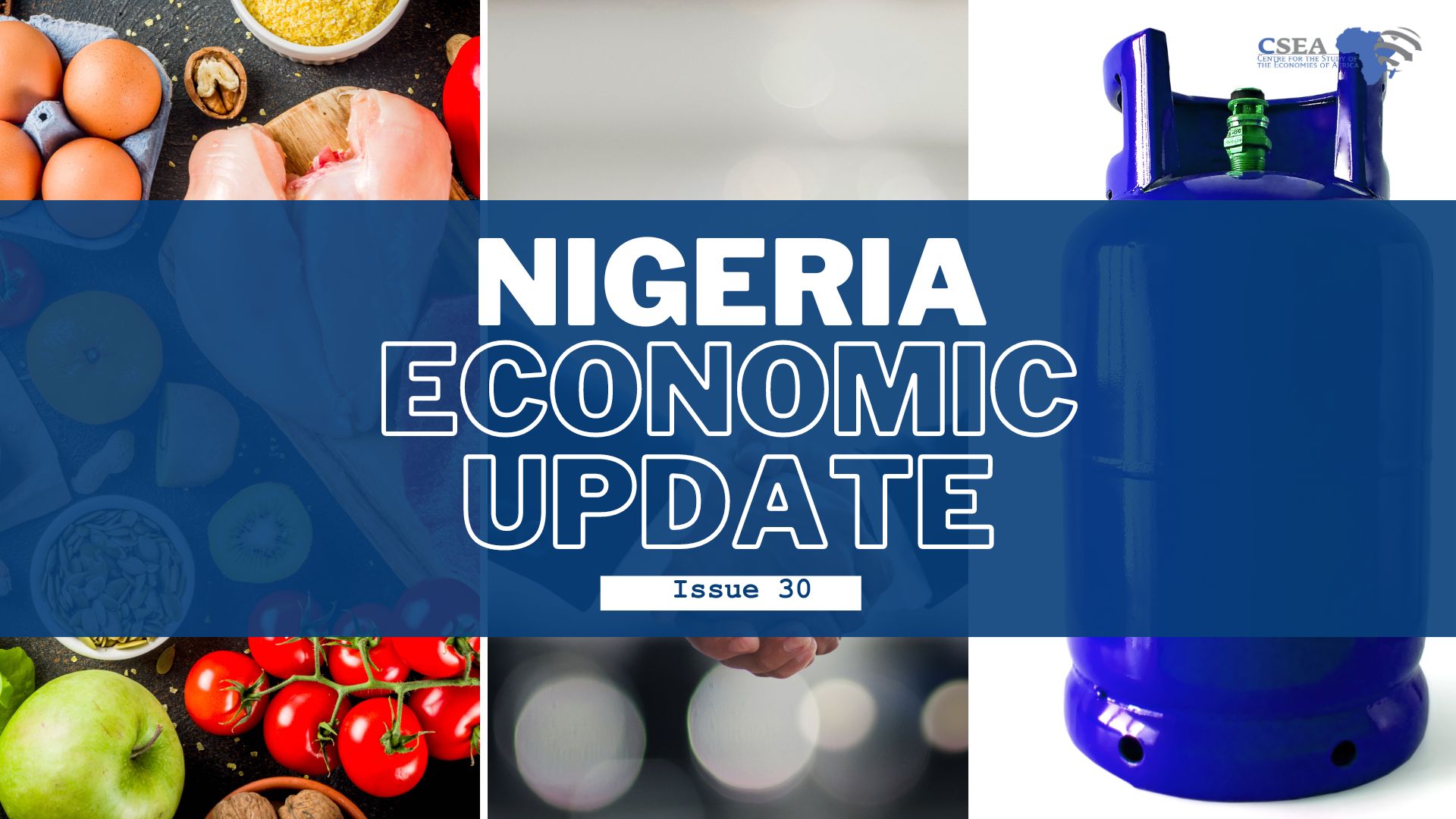 Nigeria Economic Update (Issue 30)