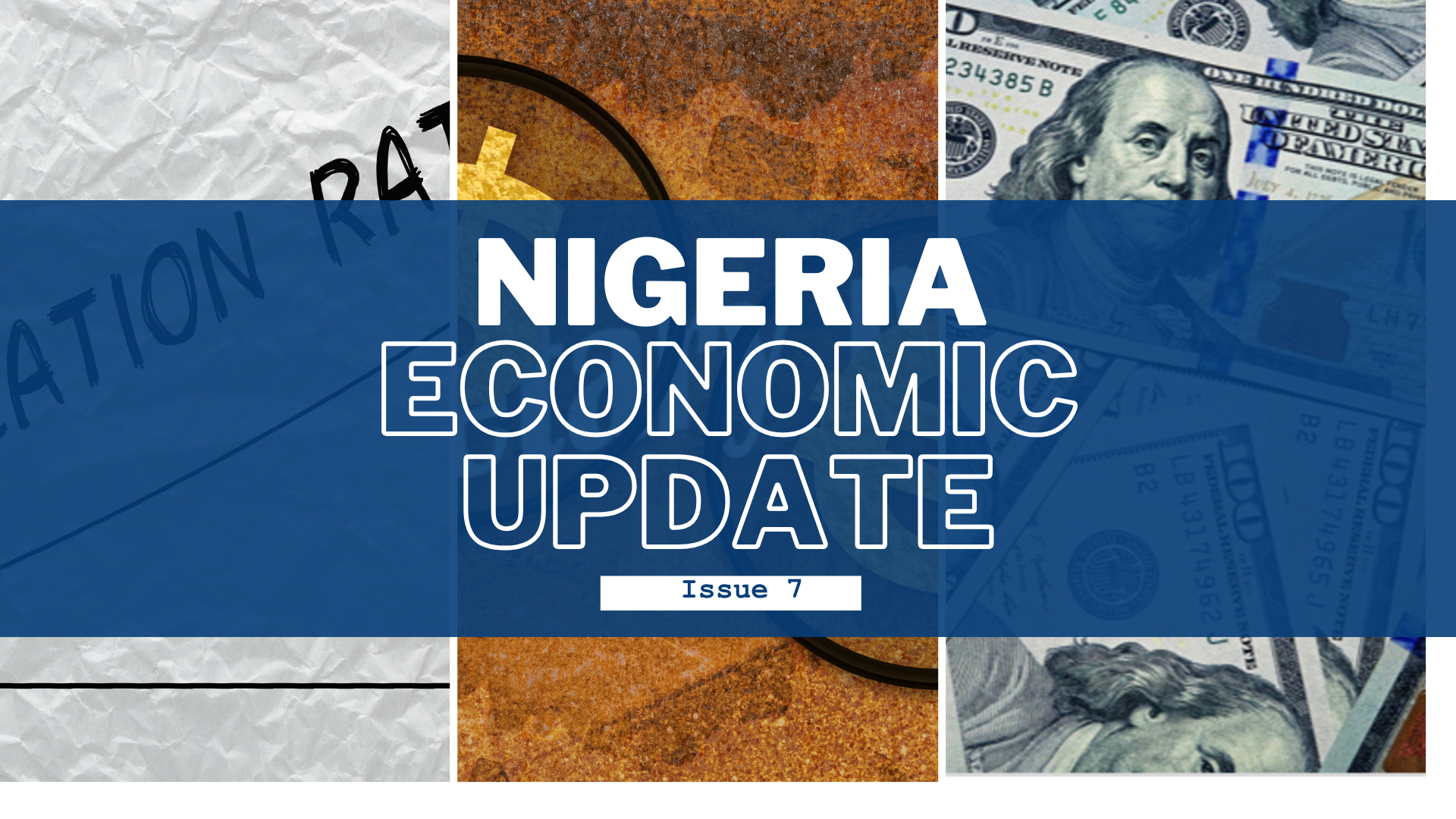Nigeria Economic Update, Issue 7