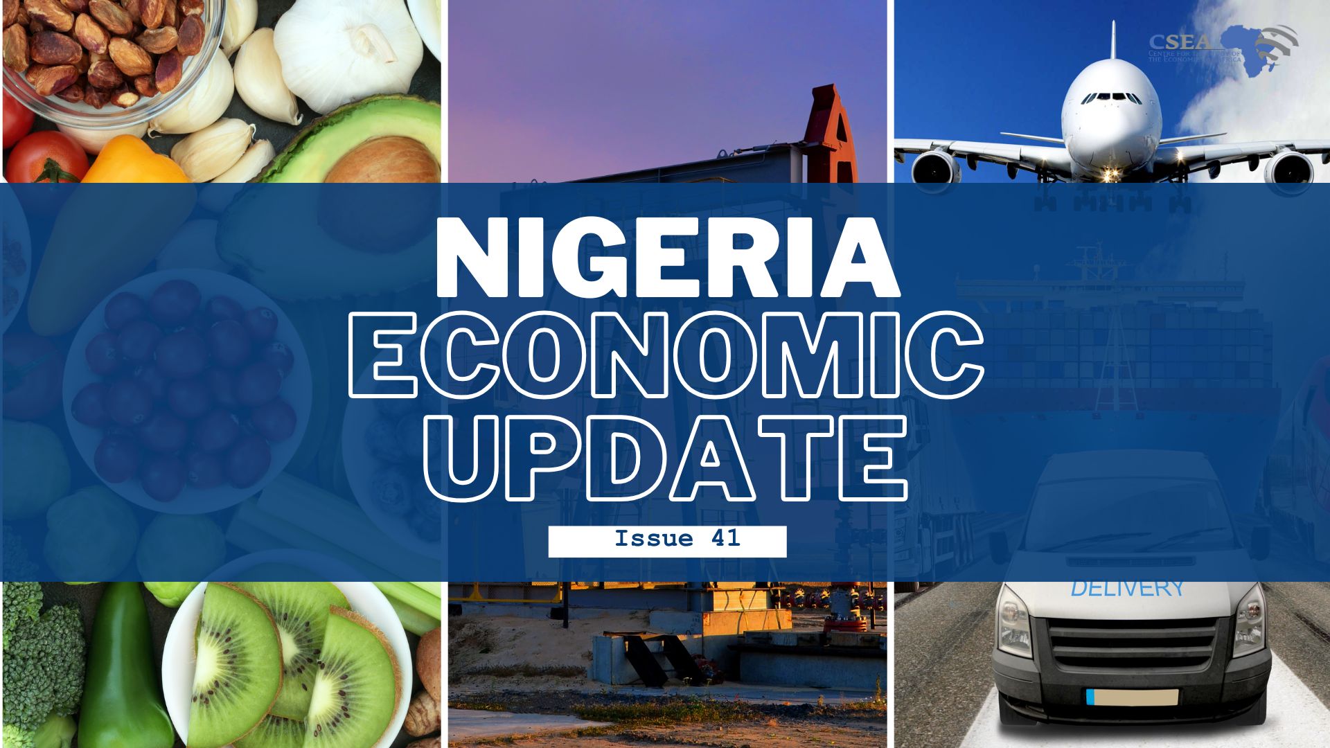 Nigeria Economic Update, Issue 41