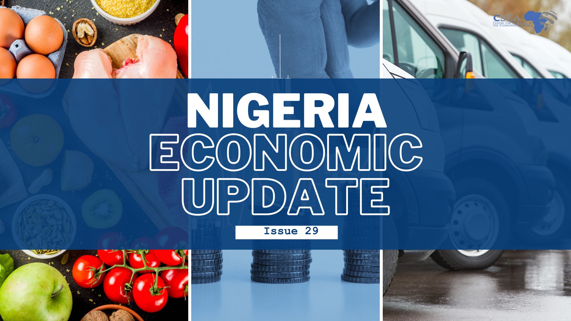 Nigeria Economic Update, Issue 29