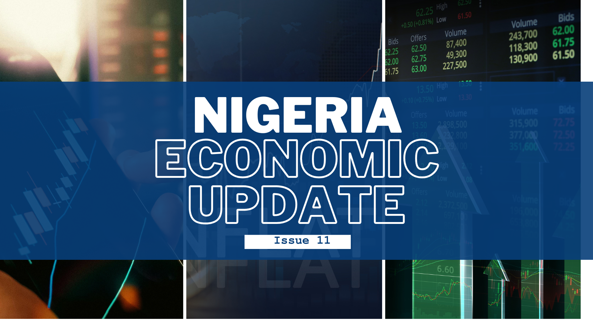 Nigeria Economic Update, Issue 11