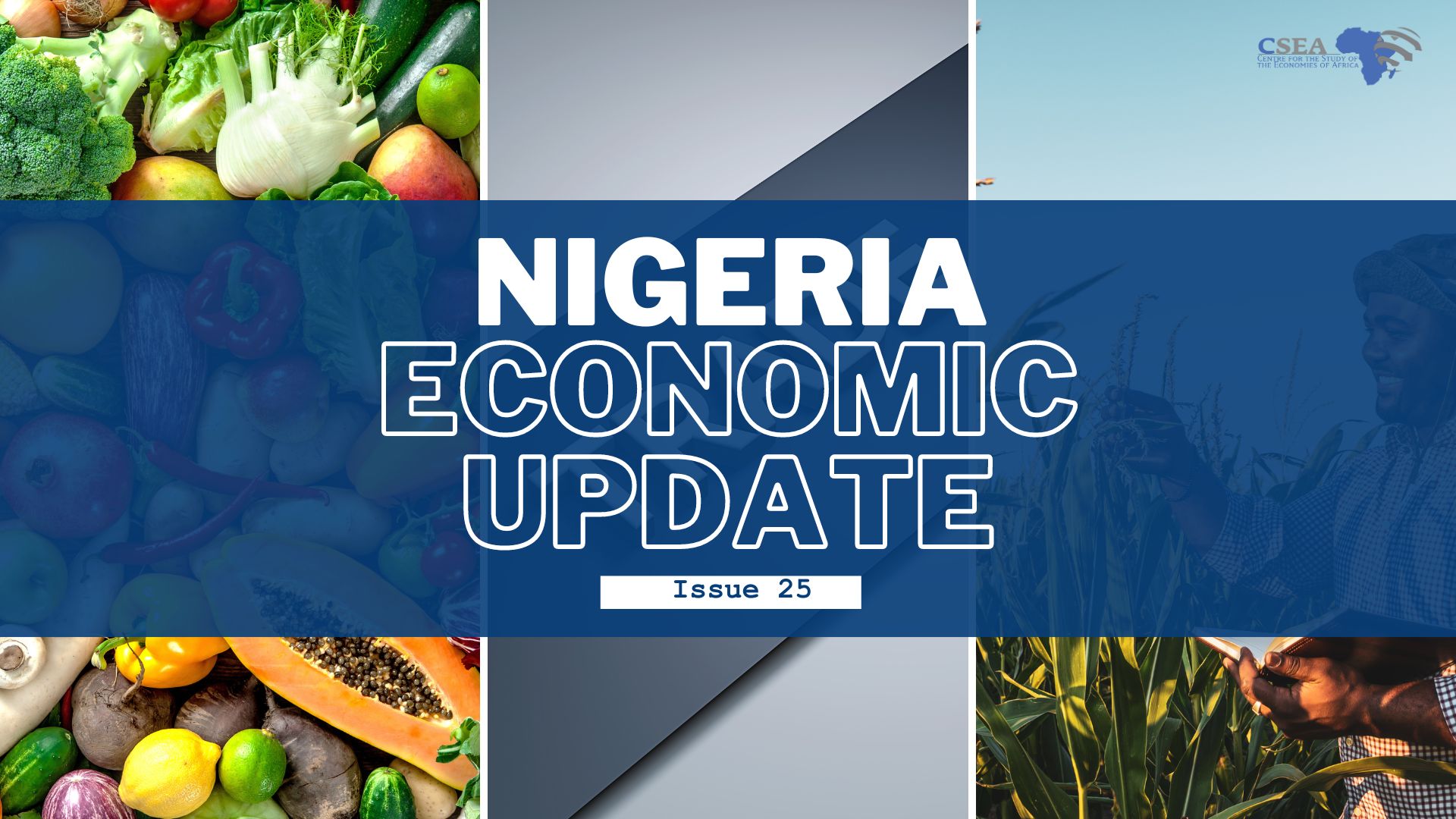 Nigeria Economic Update (Issue 25)