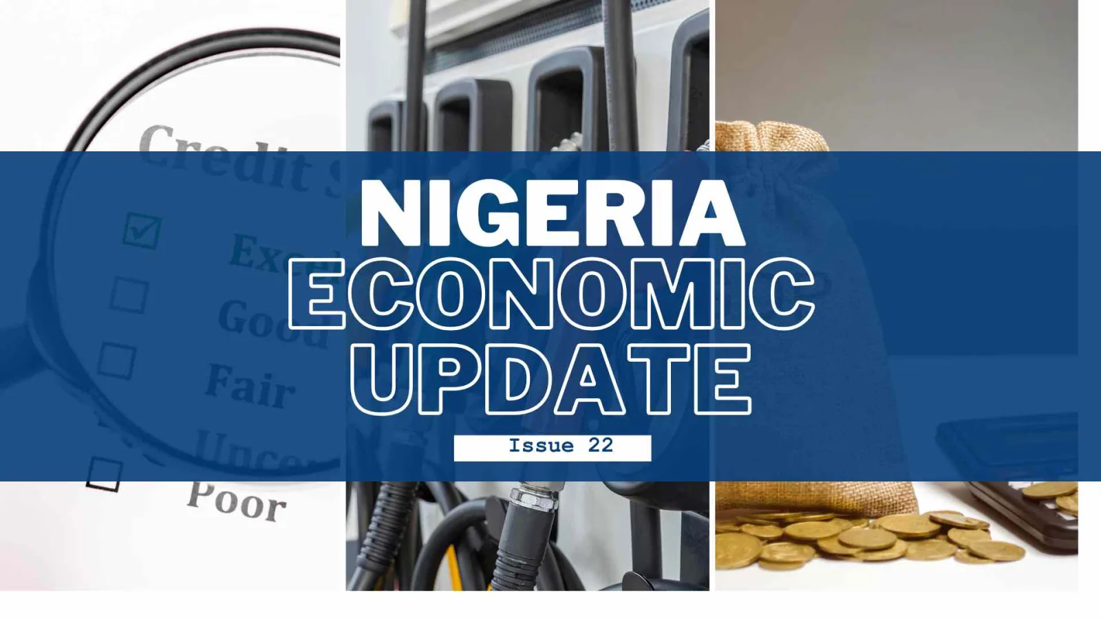 Nigeria Economic Update, Issue 22