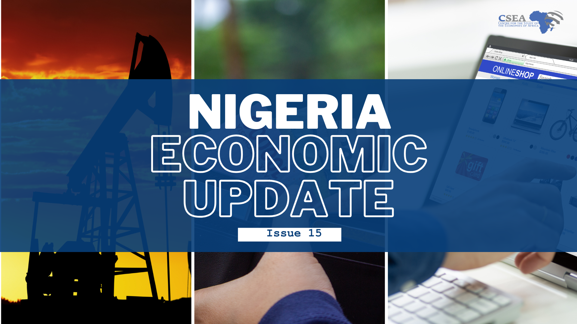 Nigeria Economic Update, Issue 15