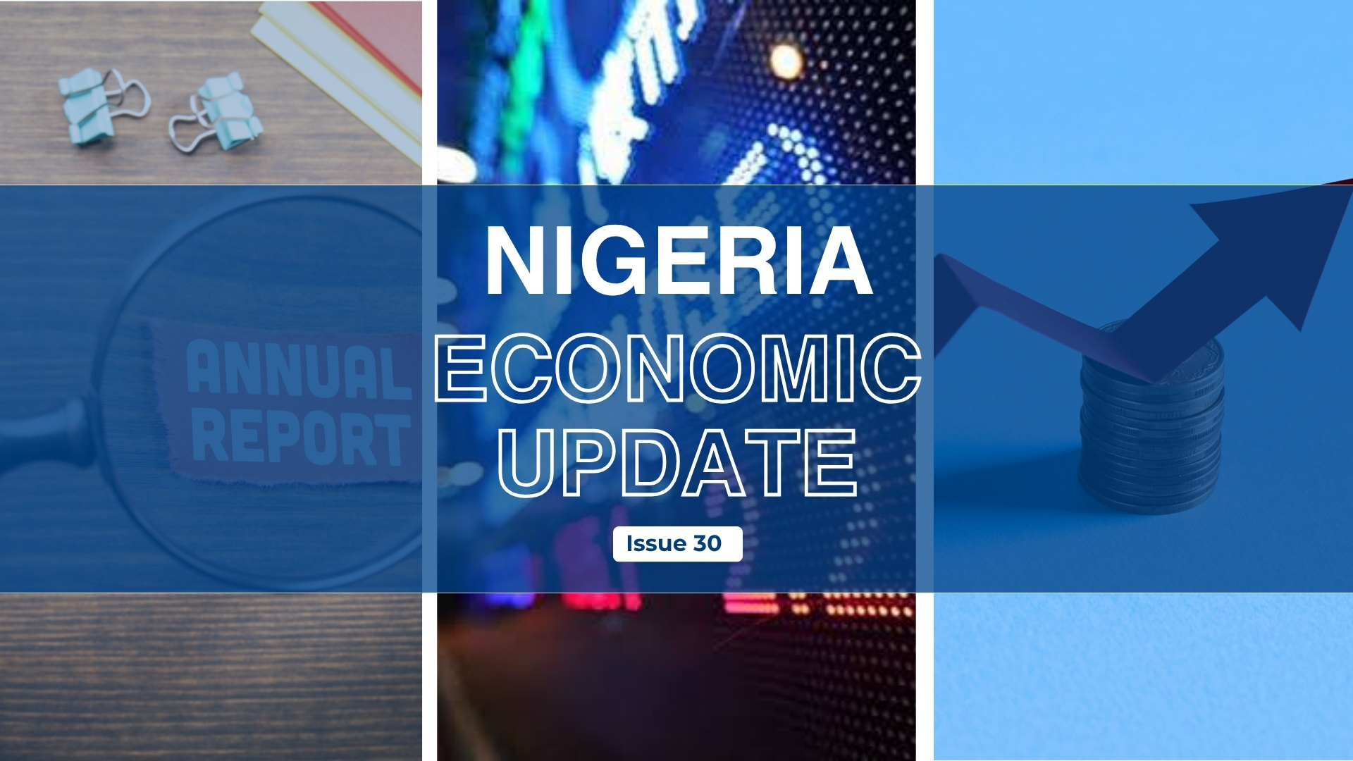 Nigeria Economic Update, Issue 30