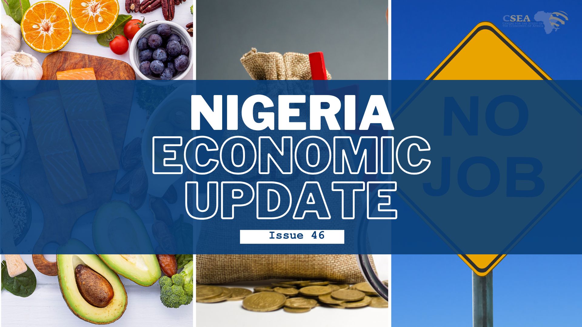 Nigeria Economic Update Issue 46