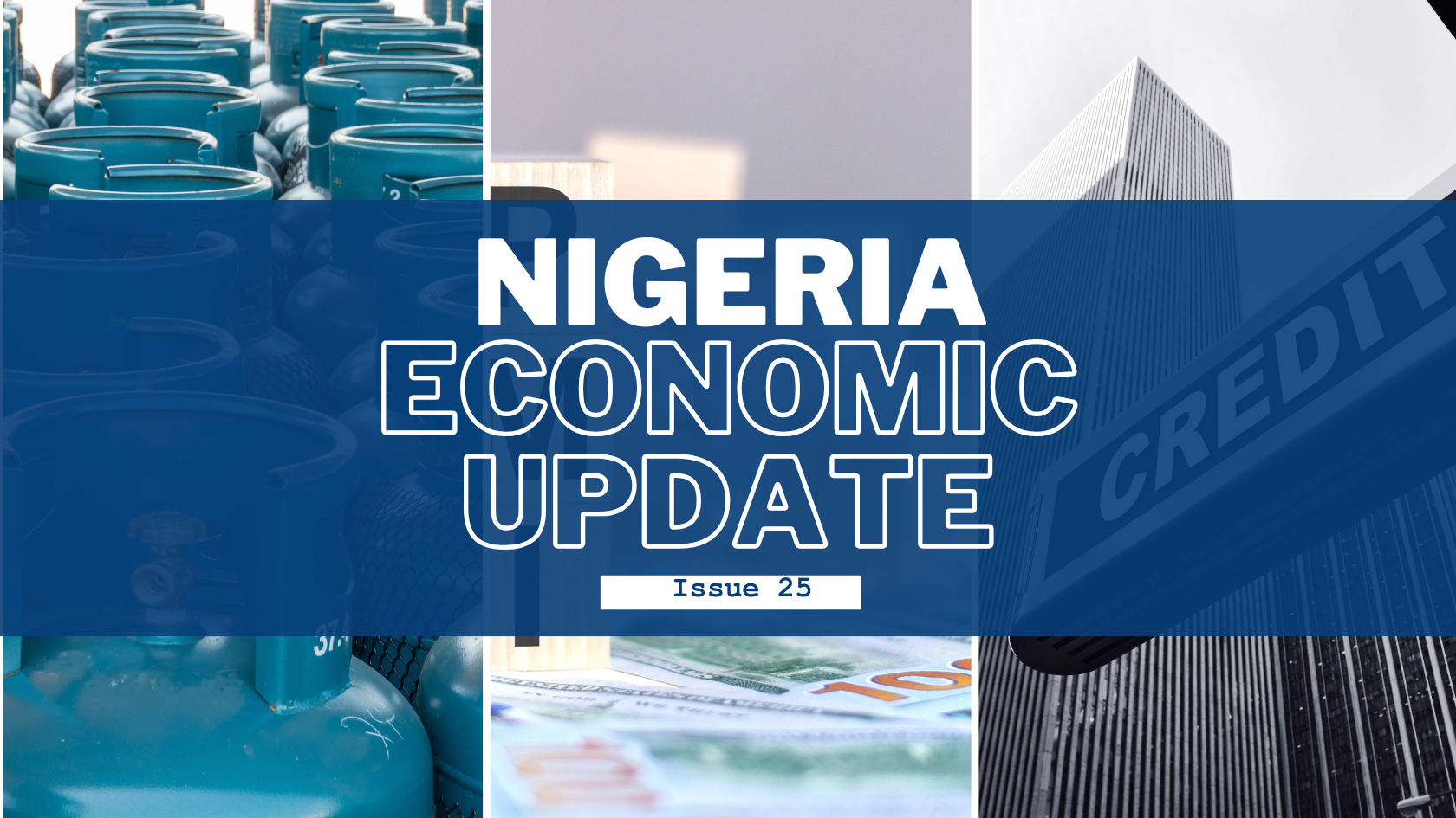 Nigeria Economic Update, Issue 25